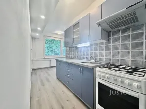 Pronájem bytu 1+1, Ústí nad Labem, Tolstého, 44 m2