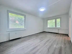 Pronájem bytu 1+1, Ústí nad Labem, Tolstého, 44 m2