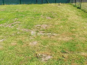 Prodej zahrady, Jílové, Revoluční, 653 m2