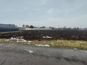 Prodej pozemku pro bydlení, Kožušany-Tážaly - Tážaly, 571 m2