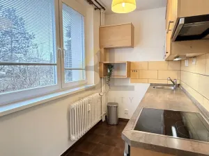 Pronájem bytu 2+1, Hodonín, Brandlova, 47 m2