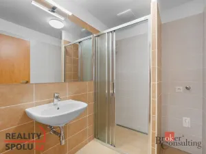 Pronájem bytu 2+kk, Hradec Králové, Pod Svahem, 50 m2