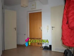 Pronájem bytu 2+kk, České Budějovice - České Budějovice 7, Plavská, 68 m2