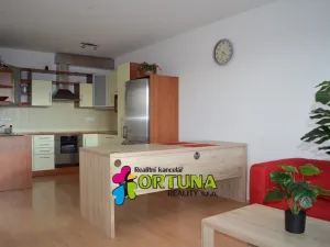 Pronájem bytu 2+kk, České Budějovice - České Budějovice 7, Plavská, 68 m2