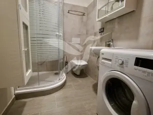 Pronájem bytu 1+1, Město Touškov, Čemínská, 38 m2