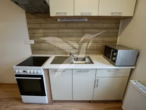 Pronájem bytu 1+1, Město Touškov, Čemínská, 38 m2