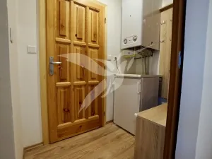 Pronájem bytu 1+1, Město Touškov, Čemínská, 38 m2