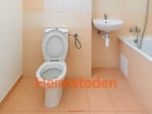 Pronájem bytu 2+1, Orlová - Lutyně, Lesní, 46 m2