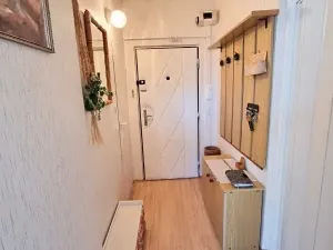 Prodej bytu 1+1, Jihlava, Březinova, 33 m2