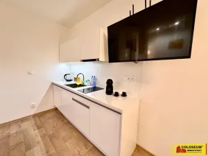 Pronájem bytu 1+kk, Brno - Brno-město, 50 m2
