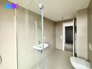 Pronájem bytu 2+kk, Ostrava, F. X. Riepla, 54 m2