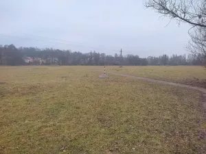 Prodej louky, Mladá Boleslav, 6926 m2