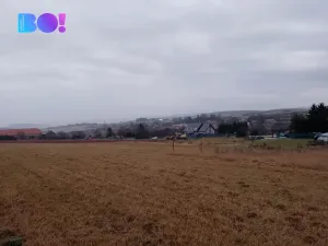 Prodej louky, Málkov, 20000 m2