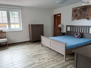 Prodej rodinného domu, Teplice, Nová cesta, 238 m2