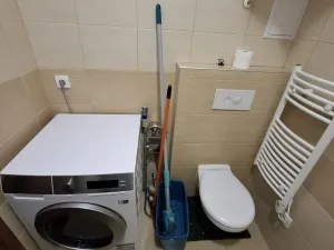 Pronájem bytu 1+1, Brno - Husovice, Svitavská, 31 m2