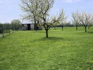 Prodej pozemku, Turovice, 878 m2