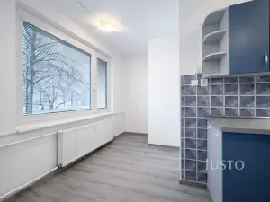 Pronájem bytu 1+1, Ústí nad Labem, Tolstého, 44 m2