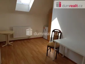 Pronájem bytu 1+kk, Praha, Zenklova, 17 m2