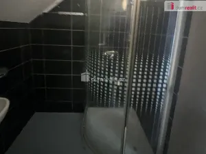 Pronájem bytu 1+kk, Praha, Zenklova, 17 m2