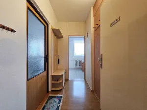 Prodej bytu 1+1, Vyškov, Puškinova, 33 m2