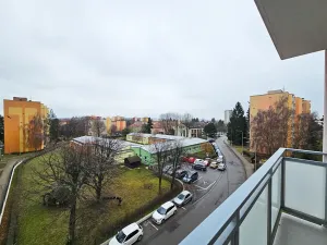 Prodej bytu 1+1, Vyškov, Puškinova, 33 m2