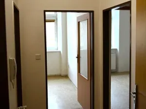 Pronájem bytu 2+kk, Horšovský Týn - Malé Předměstí, Jana Littrowa, 40 m2