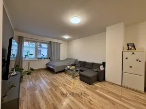Pronájem bytu 1+kk, Olomouc - Hodolany, Geislerova, 50 m2