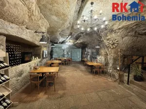 Pronájem restaurace, Mladá Boleslav, Ptácká, 410 m2