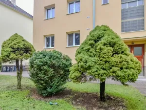 Pronájem bytu 2+1, Poděbrady, Hakenova, 51 m2