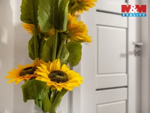 Prodej bytu 3+1, Nový Bor, Palackého, 75 m2