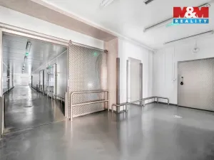 Pronájem obchodního prostoru, Červený Kostelec, Sokolská, 726 m2