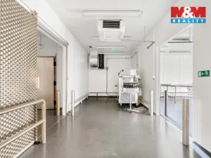 Pronájem obchodního prostoru, Červený Kostelec, Sokolská, 726 m2