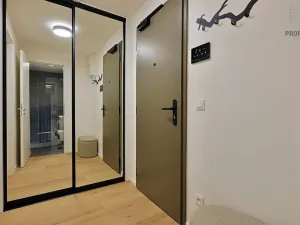 Prodej bytu 1+kk, Brno, Bratislavská, 44 m2