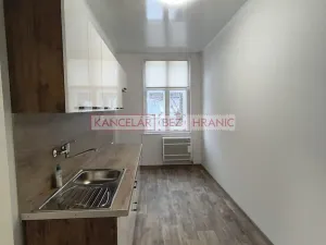 Pronájem bytu 1+1, Ostrava, Hilbertova, 54 m2