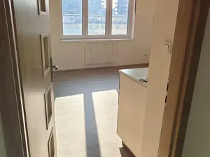 Pronájem bytu 2+kk, Praha - Žižkov, Basilejské náměstí, 48 m2