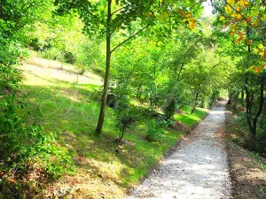 Pronájem bytu 1+kk, Brno - Horní Heršpice, Jižní, 43 m2