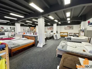 Pronájem obchodního prostoru, Ústí nad Labem, Žižkova, 240 m2