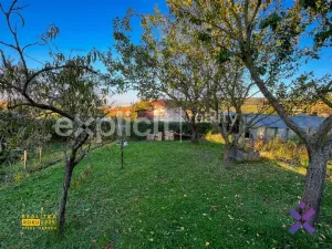 Prodej zahrady, Zlín - Malenovice, 320 m2