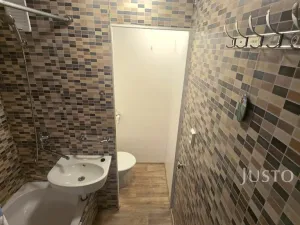 Pronájem bytu 1+kk, Písek, Dr. M. Horákové, 20 m2