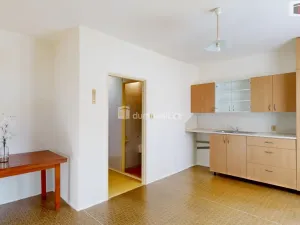 Pronájem bytu 1+kk, Opava - Kylešovice, 17. listopadu, 26 m2