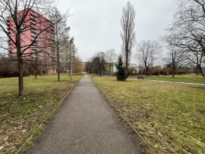 Pronájem bytu 1+kk, Praha - Záběhlice, Topolová, 31 m2