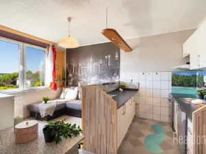 Prodej bytu 1+1, Mladošovice, 40 m2