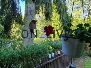 Prodej chaty, Bdeněves, 19 m2