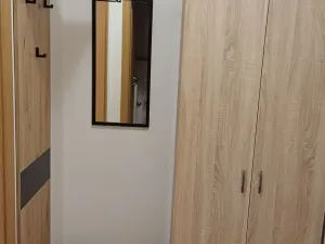 Pronájem bytu 1+kk, Olomouc - Nová Ulice, Okružní, 31 m2