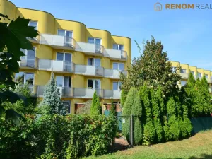 Pronájem bytu 1+kk, Olomouc - Nová Ulice, Okružní, 31 m2