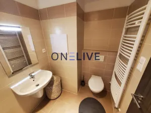 Pronájem bytu 1+kk, Plzeň, Na Chmelnicích, 35 m2