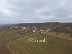 Prodej - jiné, Milotice, 321 m2