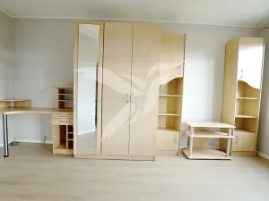 Pronájem bytu 1+kk, Plzeň, Hodonínská, 31 m2