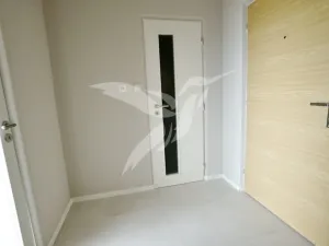 Pronájem bytu 1+kk, Plzeň, Hodonínská, 31 m2