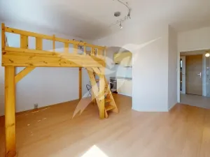 Pronájem bytu 1+kk, Plzeň, Hodonínská, 31 m2